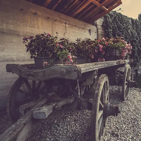 Langhe Farm stay