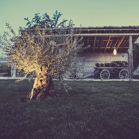 Farm stay Langhe *