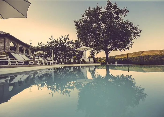 Langhe * نيف