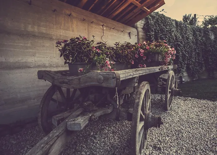 Langhe مزرعة للإقامة